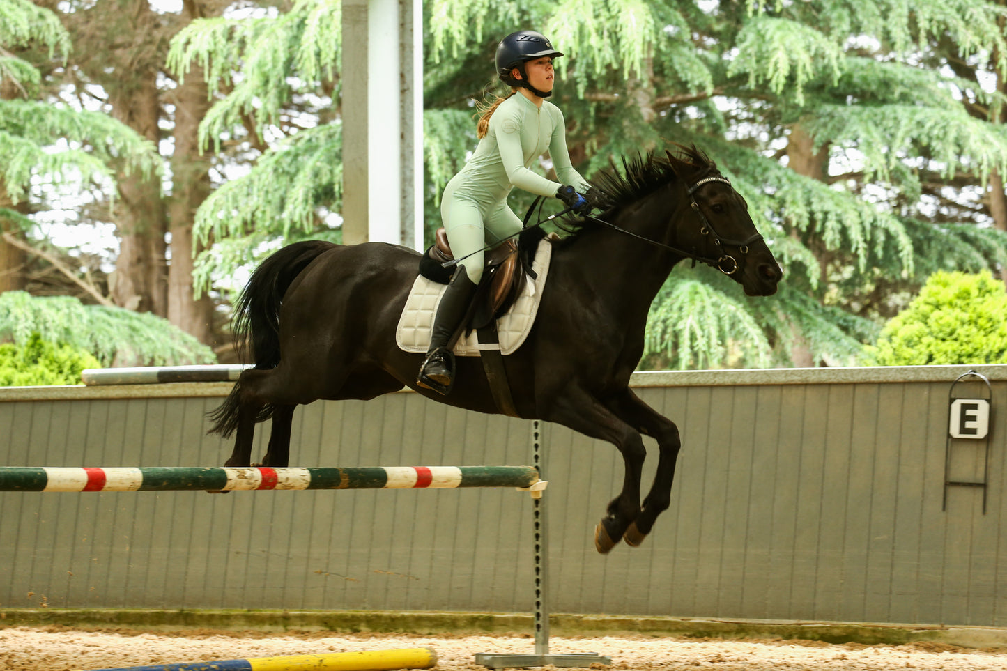 MINT light weight summer long sleeve Galloway Equestrian Performance riding suit