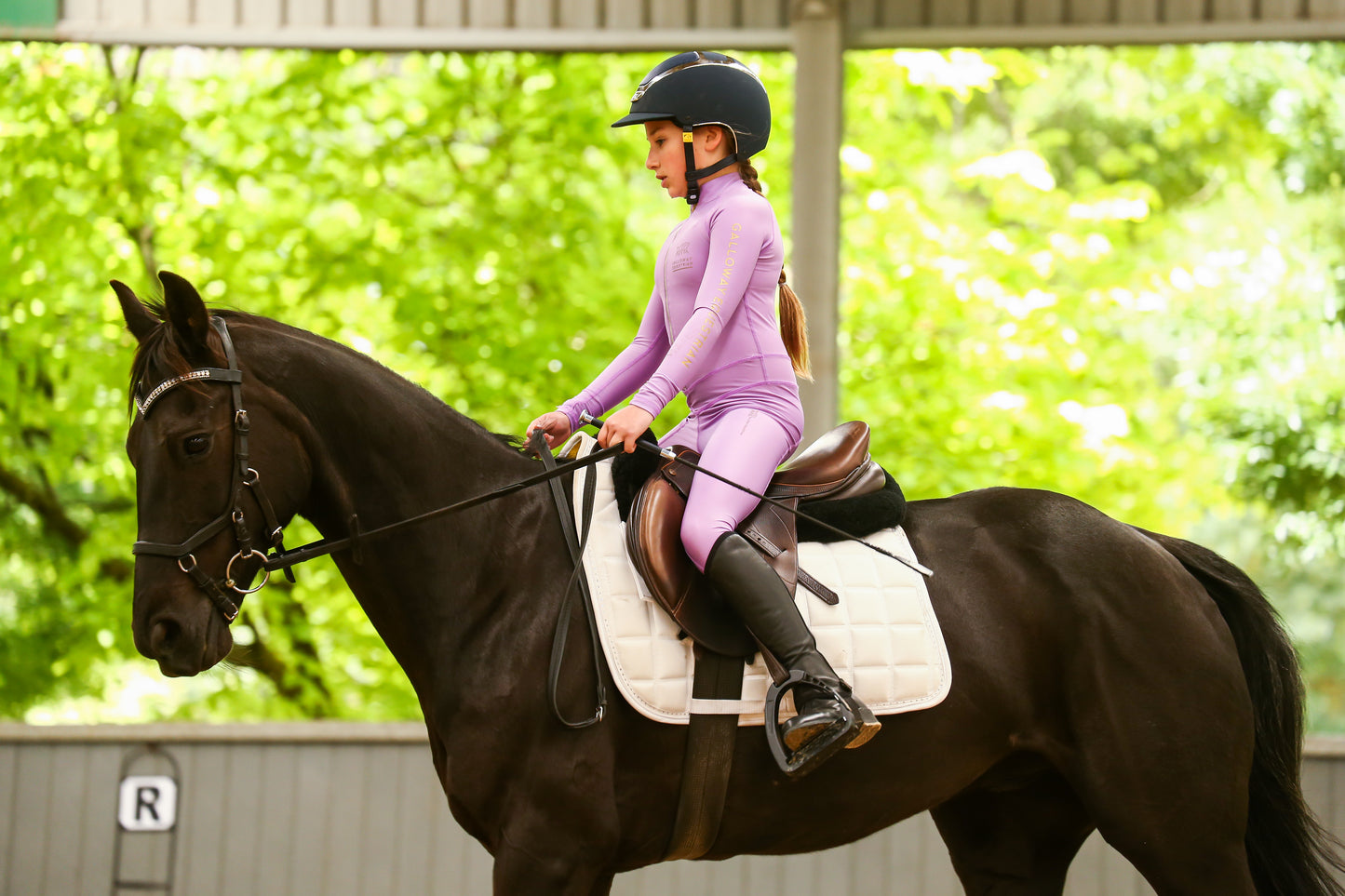 LOLLIPOP light weight summer long sleeve Galloway Equestrian Performance riding suit